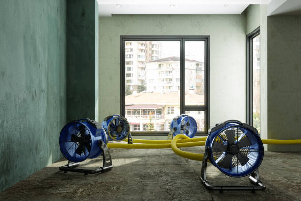 Best Professional water damage repair  in Monument Beach, MA